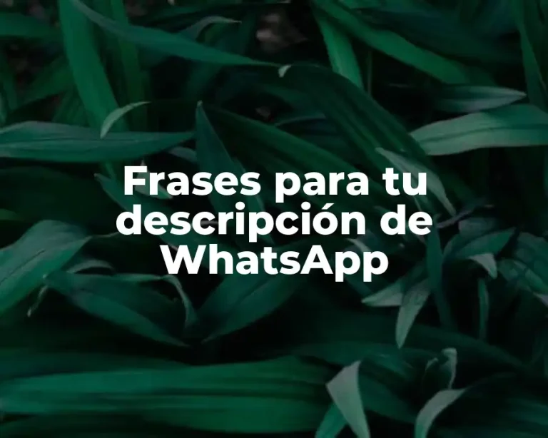 Frases para tu descripción de WhatsApp