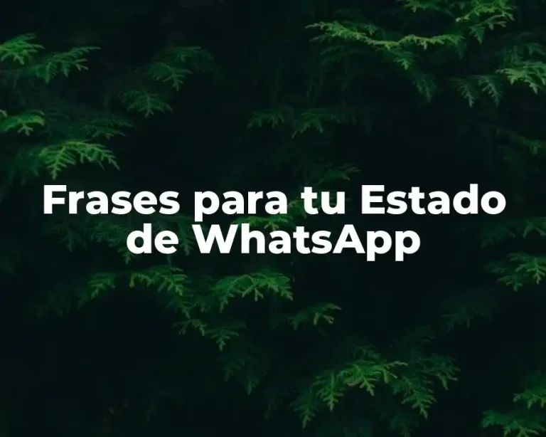 Frases para tu Estado de WhatsApp