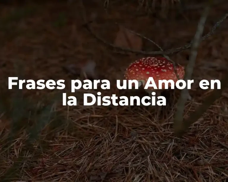 Frases para un Amor en la Distancia