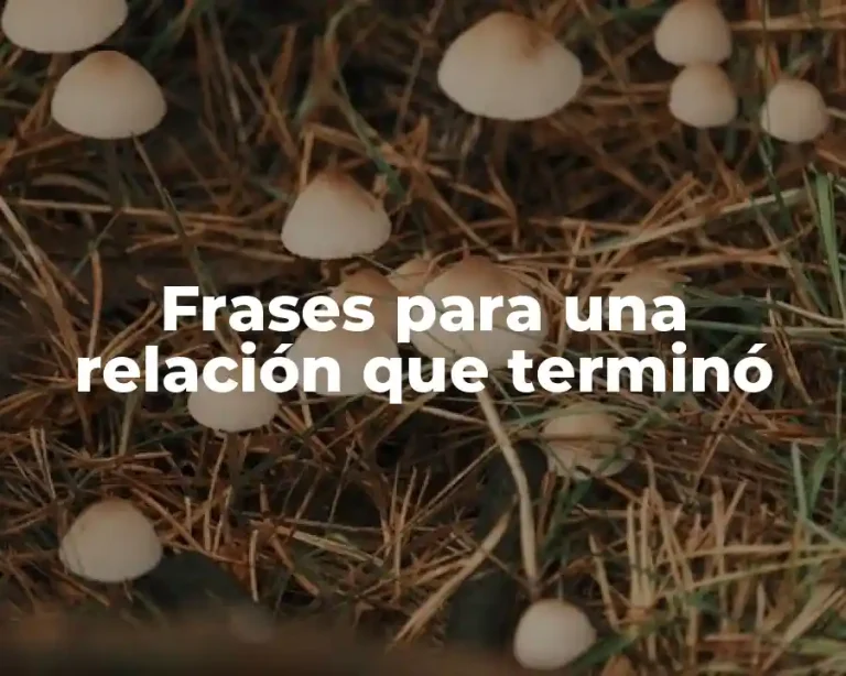 Frases para una relación que terminó