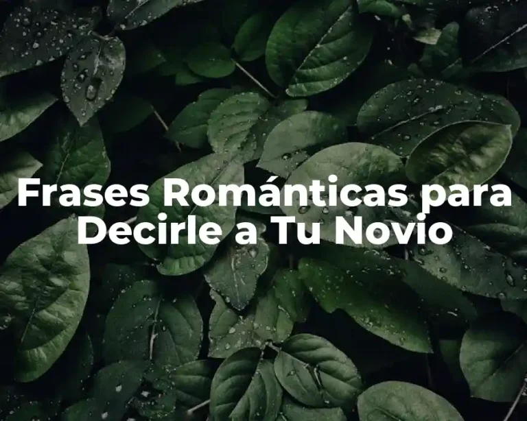 Frases Románticas para Decirle a Tu Novio