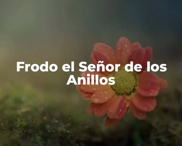 Frodo el Señor de los Anillos