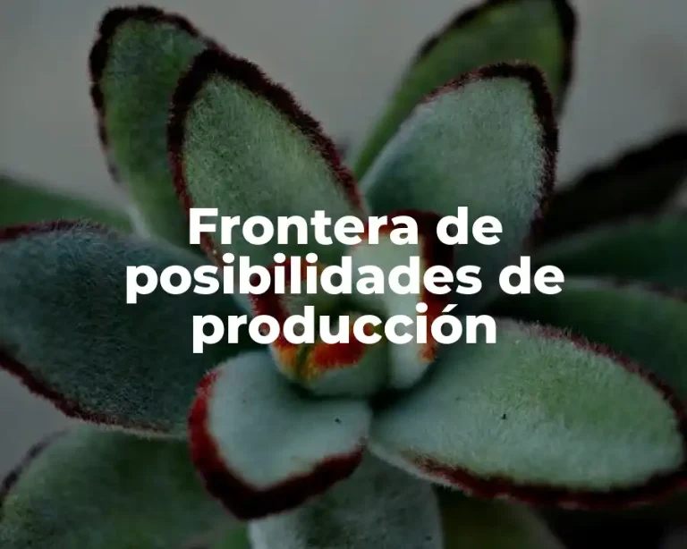 Frontera de posibilidades de producción