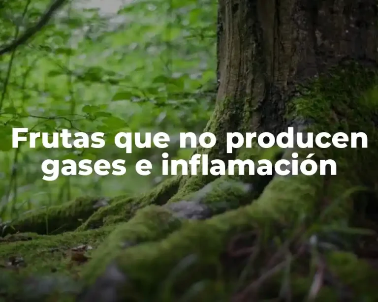 Frutas que no producen gases e inflamación