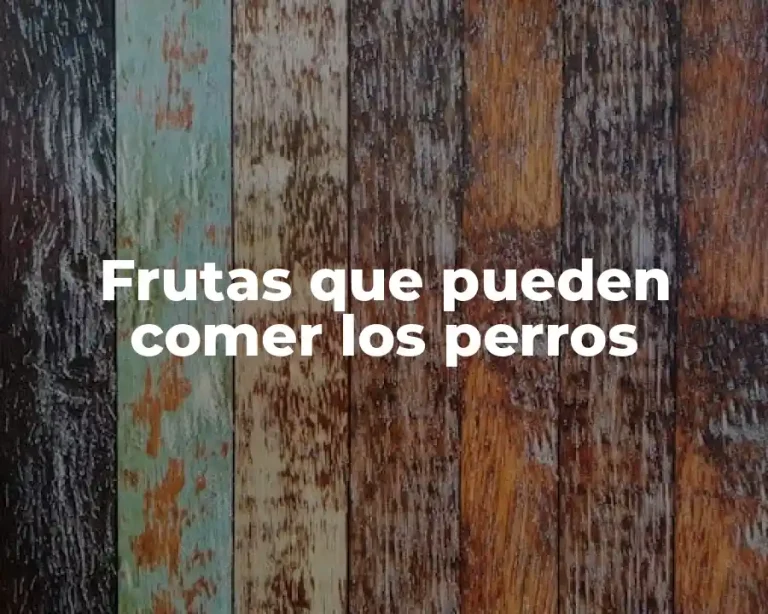 Frutas que pueden comer los perros