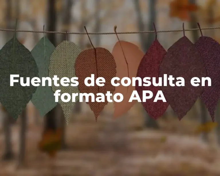 Fuentes de consulta en formato APA