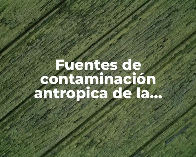 Fuentes de contaminación antropica de la atmósfera