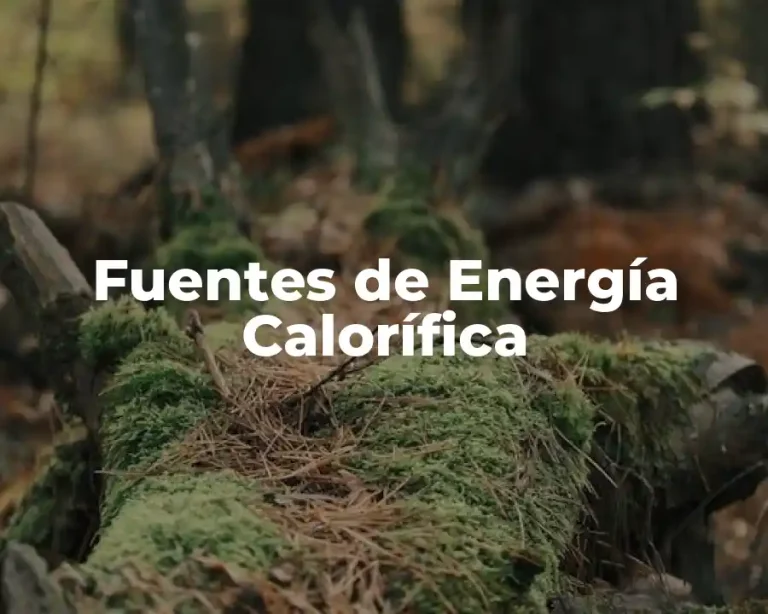 Fuentes de Energía Calorífica
