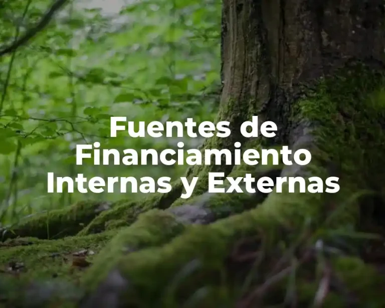 Fuentes de Financiamiento Internas y Externas