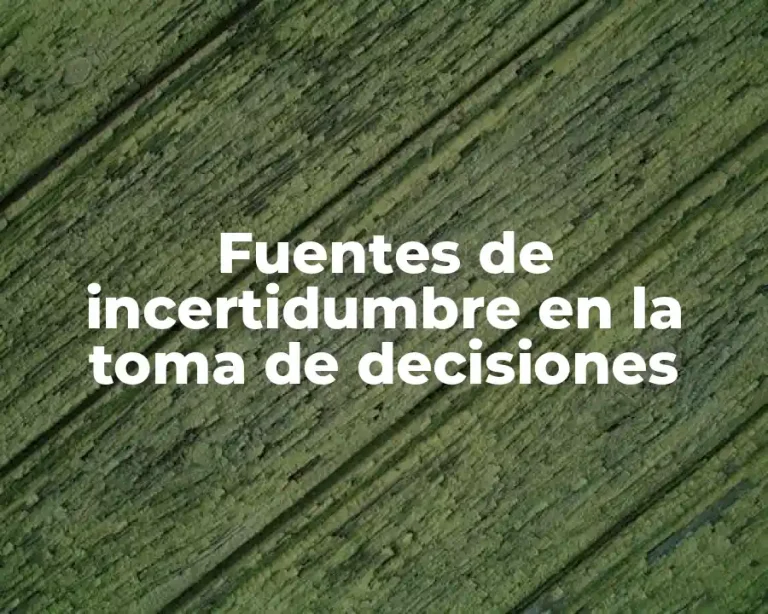 Fuentes de incertidumbre en la toma de decisiones