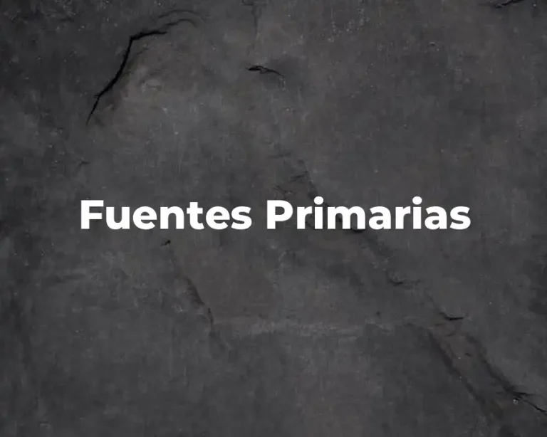 Fuentes Primarias