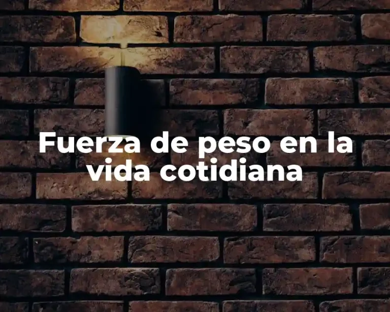 Fuerza de peso en la vida cotidiana