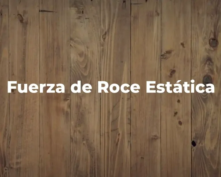 Fuerza de Roce Estática