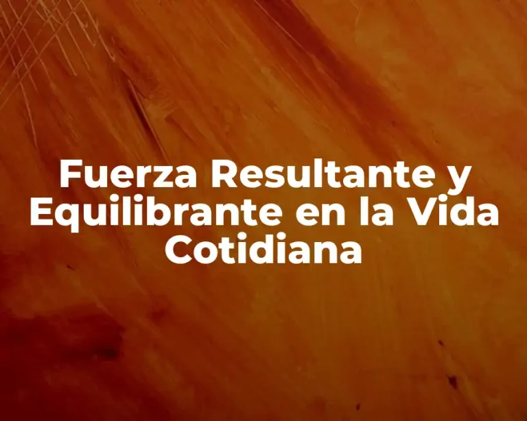 Fuerza Resultante y Equilibrante en la Vida Cotidiana