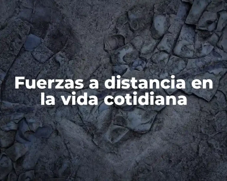 Fuerzas a distancia en la vida cotidiana