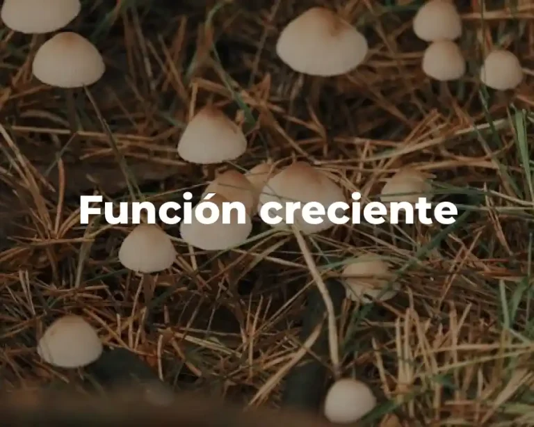 Función creciente
