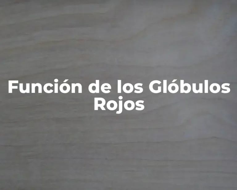 Función de los Glóbulos Rojos