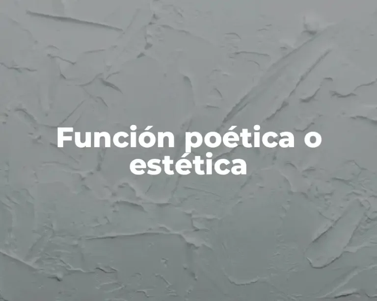 Función poética o estética