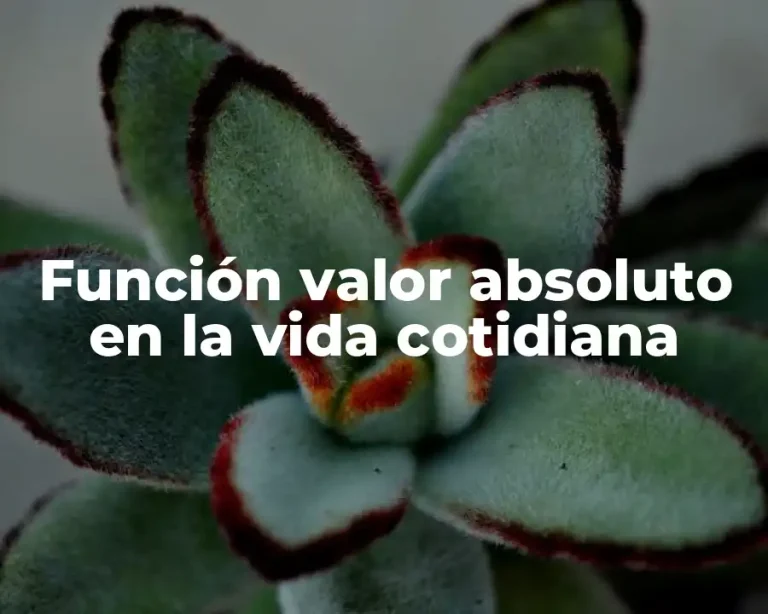 Función valor absoluto en la vida cotidiana