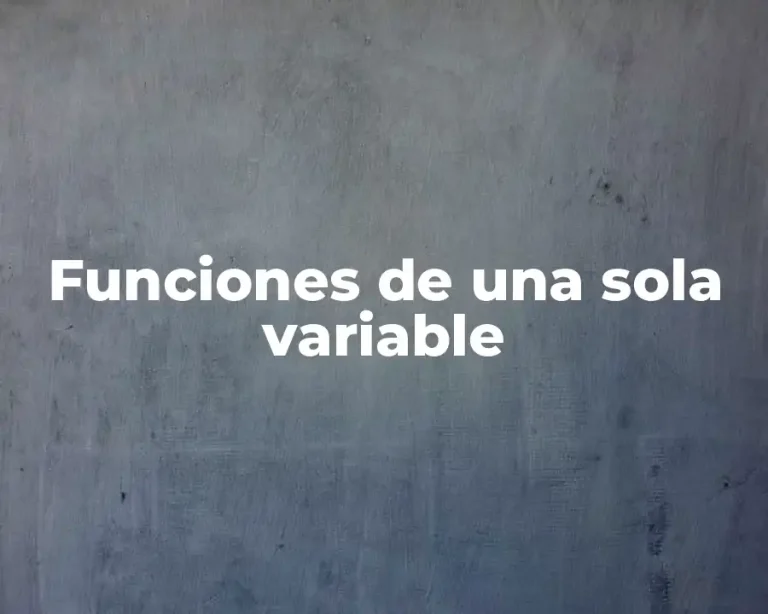 Funciones de una sola variable