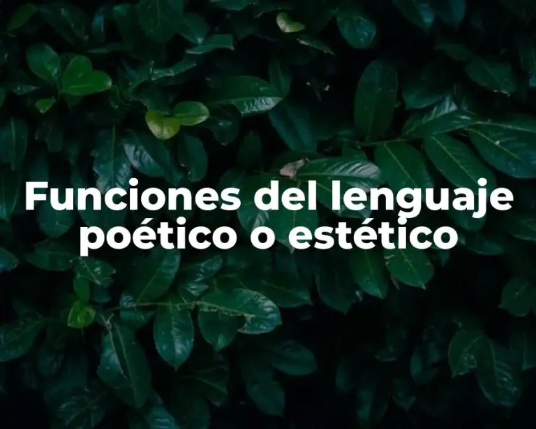 Funciones del lenguaje poético o estético