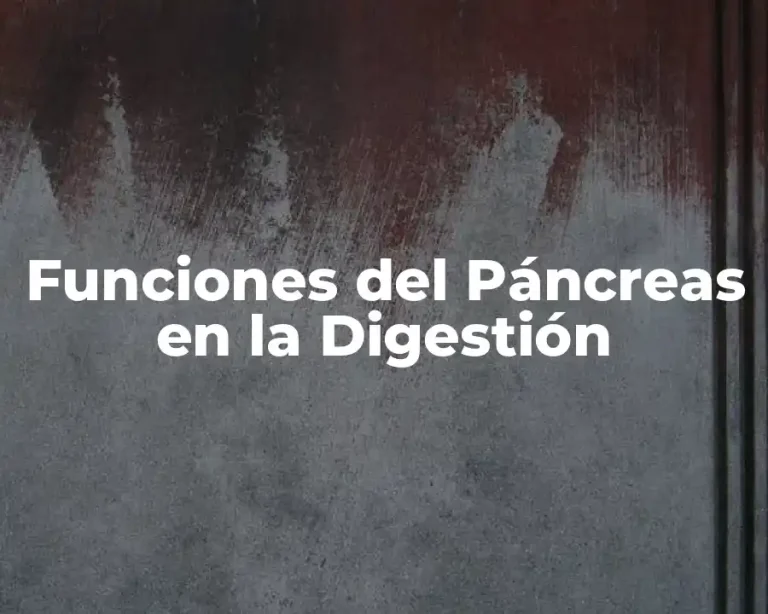 Funciones del Páncreas en la Digestión