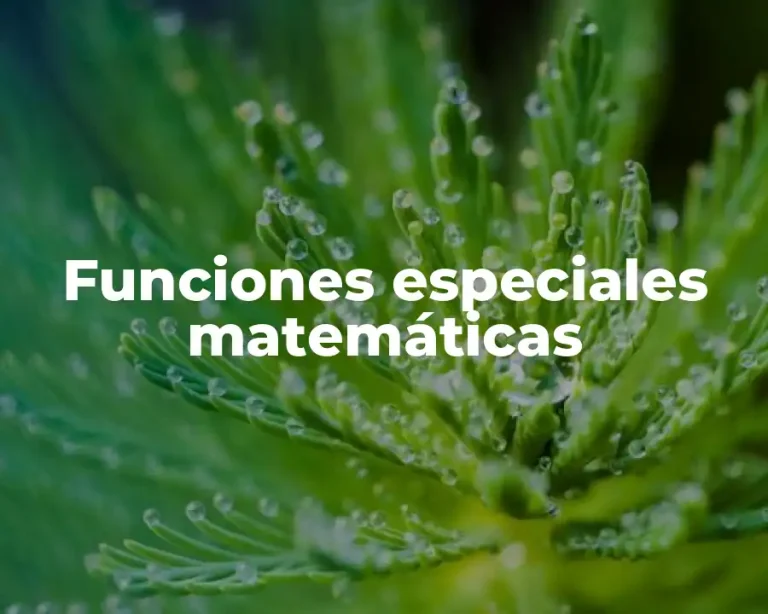 Funciones especiales matemáticas