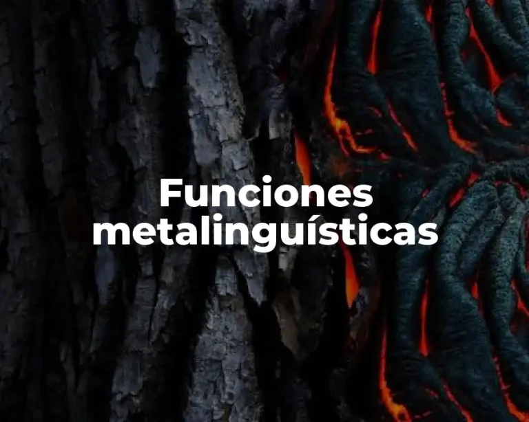 Funciones metalinguísticas