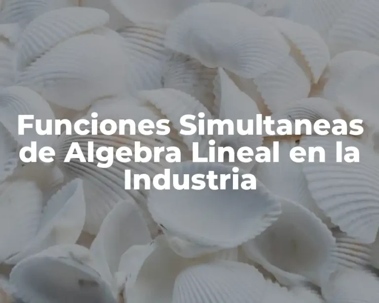 Funciones Simultaneas de Algebra Lineal en la Industria