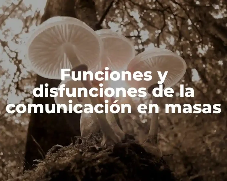 Funciones y disfunciones de la comunicación en masas