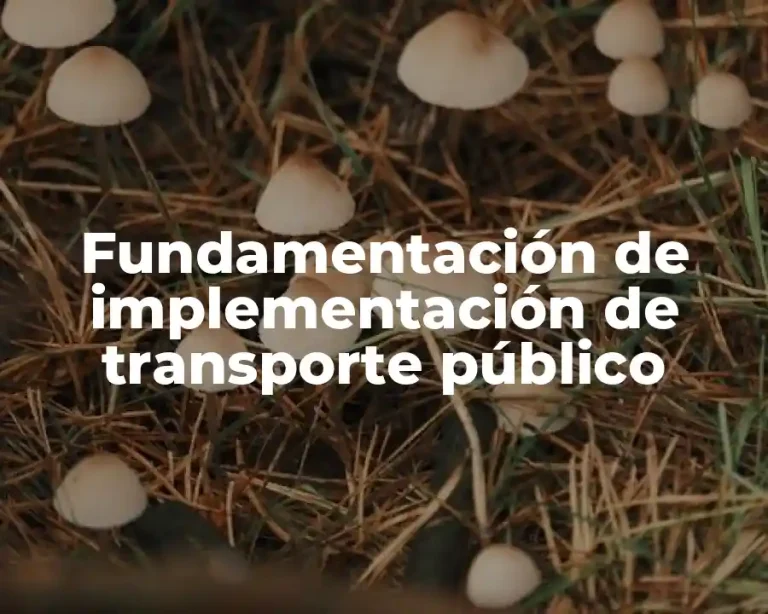 Fundamentación de implementación de transporte público