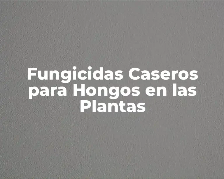 Fungicidas Caseros para Hongos en las Plantas