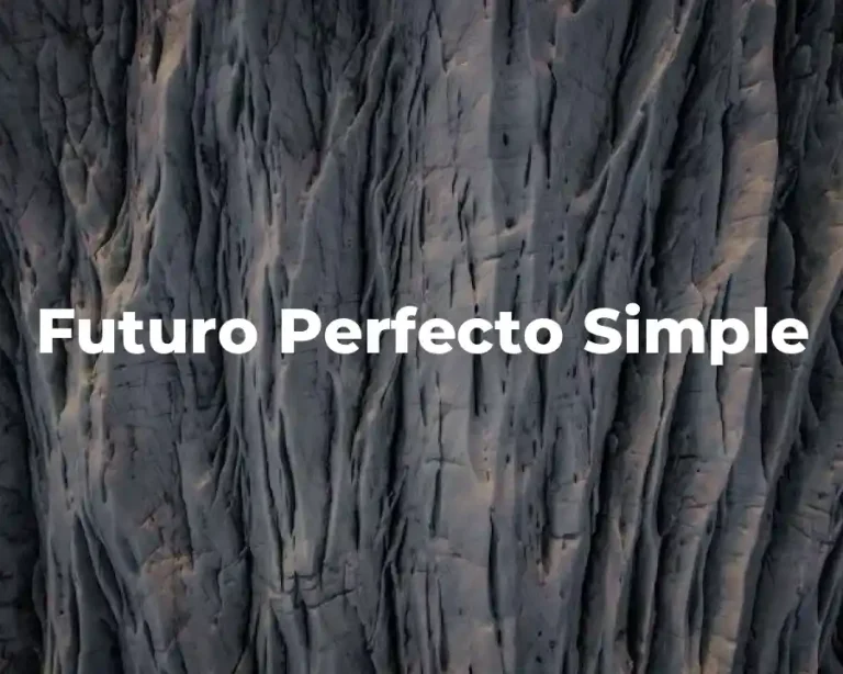 Futuro Perfecto Simple