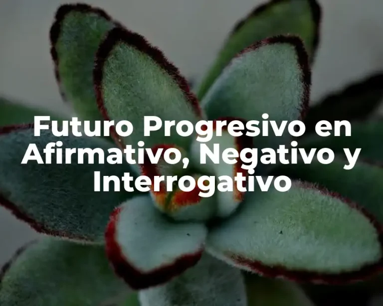Futuro Progresivo en Afirmativo, Negativo y Interrogativo