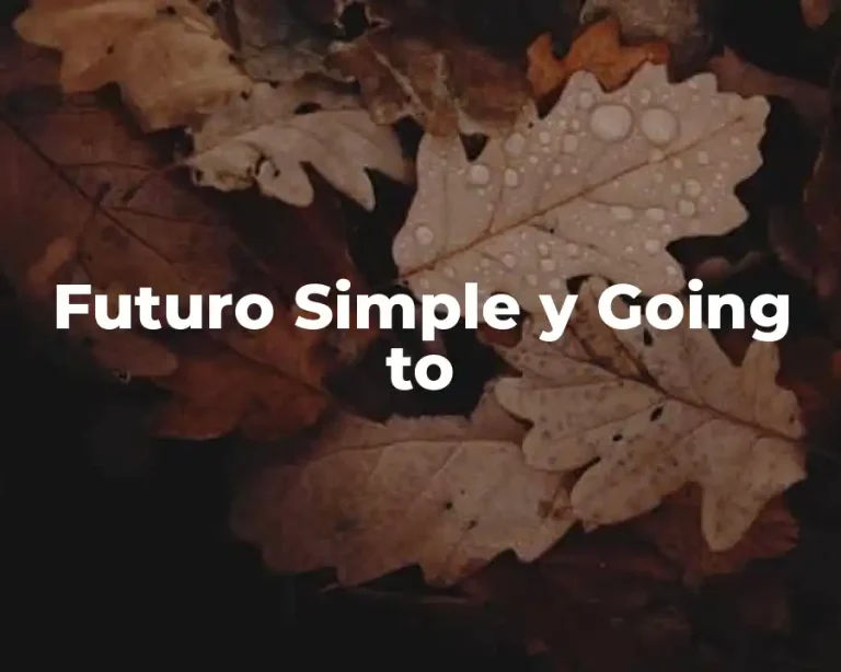 Futuro Simple y Going to