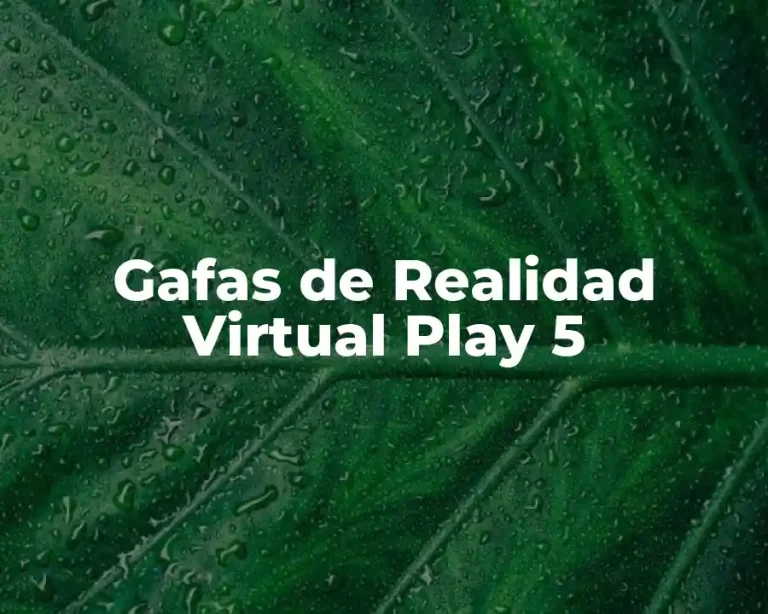 Gafas de Realidad Virtual Play 5