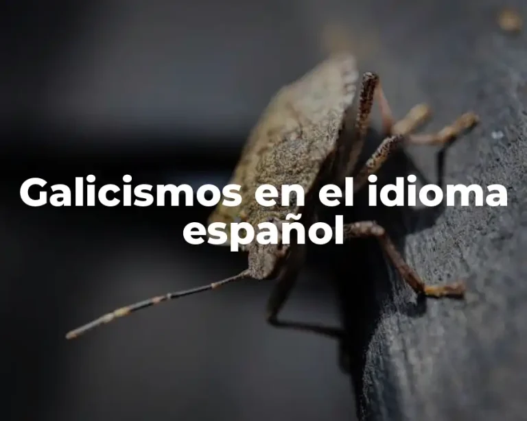 Galicismos en el idioma español