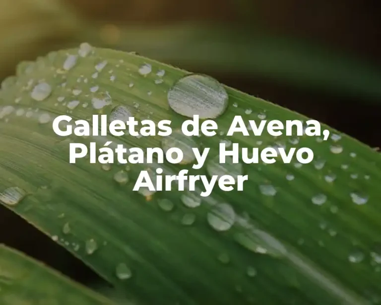 Galletas de Avena, Plátano y Huevo Airfryer