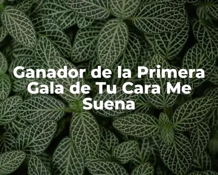 Ganador de la Primera Gala de Tu Cara Me Suena