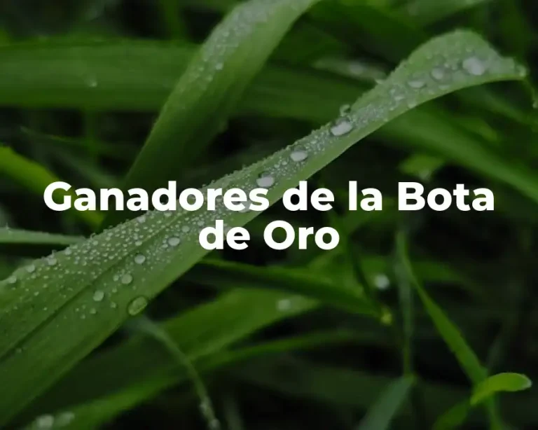 Ganadores de la Bota de Oro