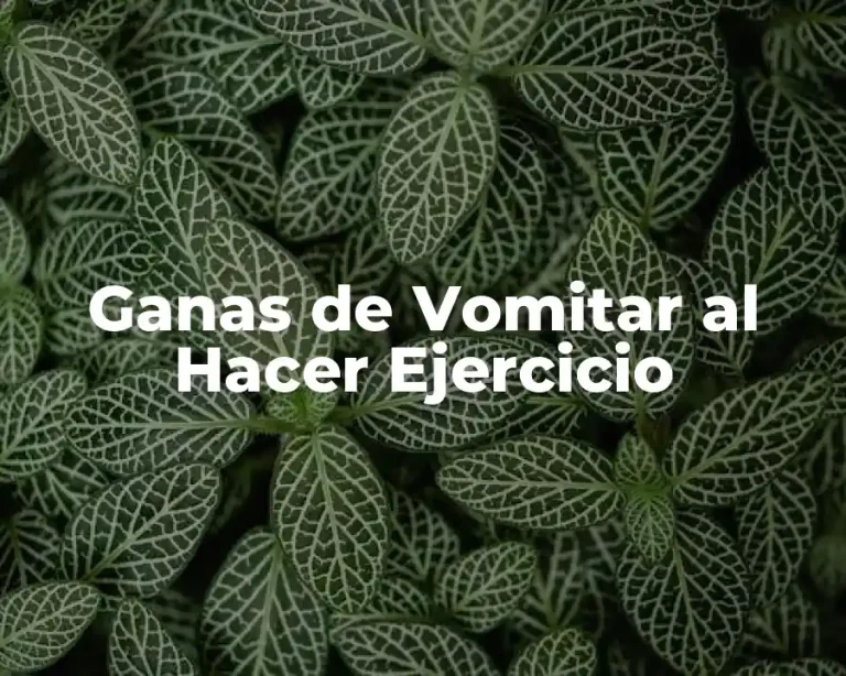 Ganas de Vomitar al Hacer Ejercicio