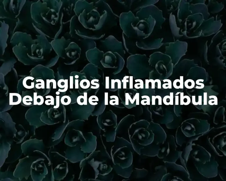 Ganglios Inflamados Debajo de la Mandíbula