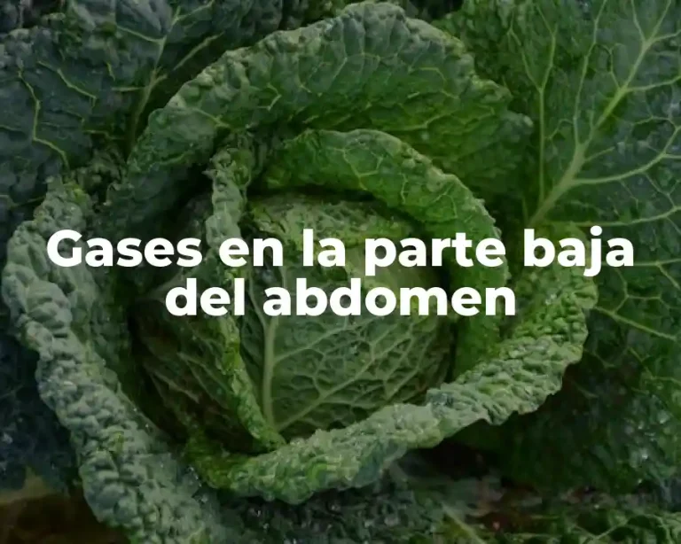 Gases en la parte baja del abdomen