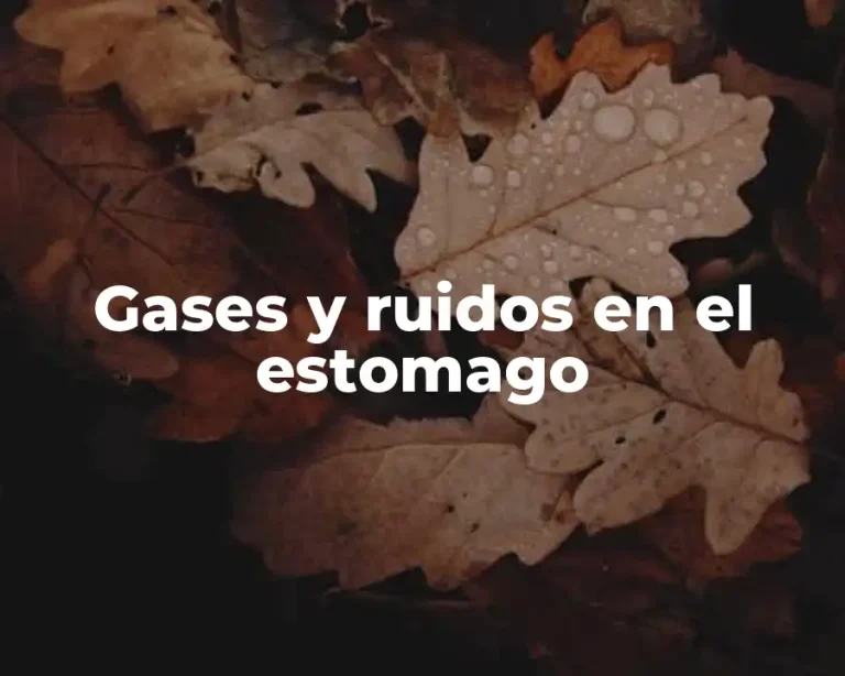 Gases y ruidos en el estomago