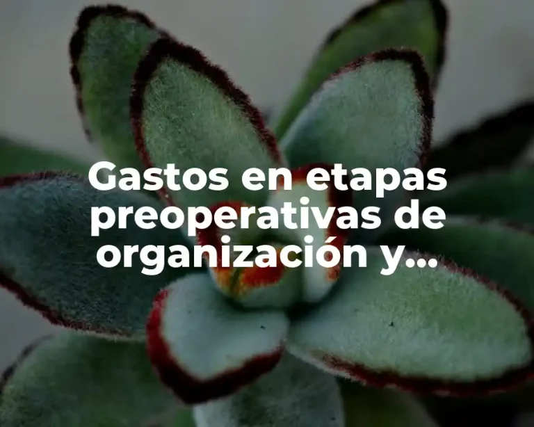 Gastos en etapas preoperativas de organización y administración