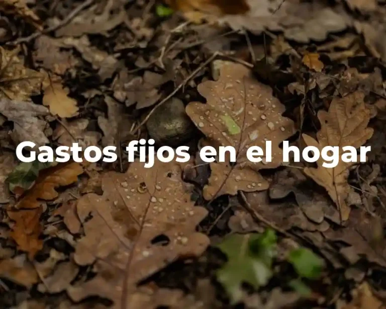 Gastos fijos en el hogar