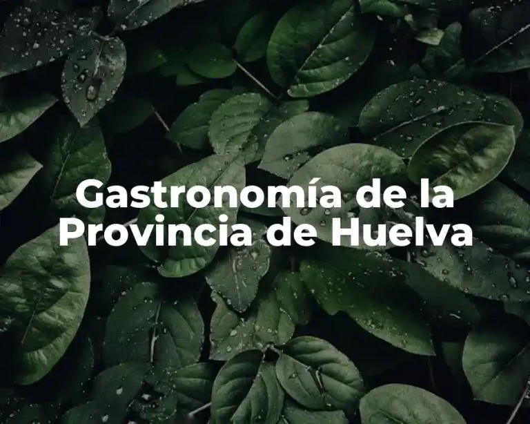 Gastronomía de la Provincia de Huelva