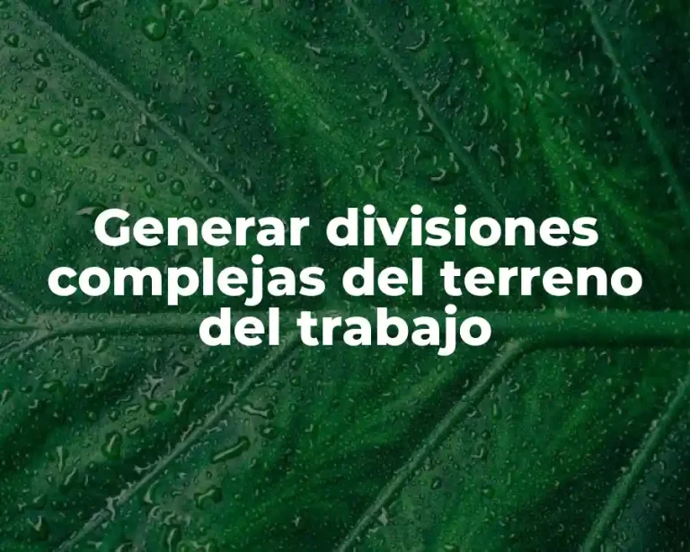 Generar divisiones complejas del terreno del trabajo