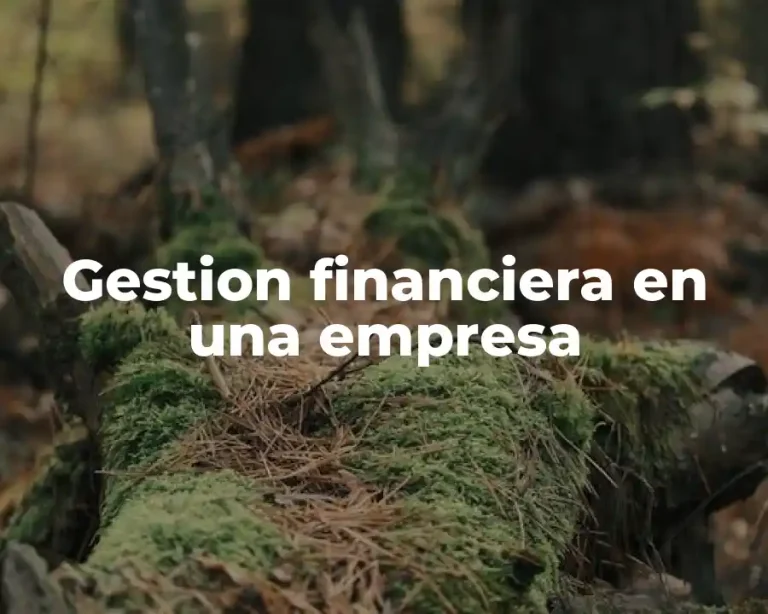 Gestion financiera en una empresa