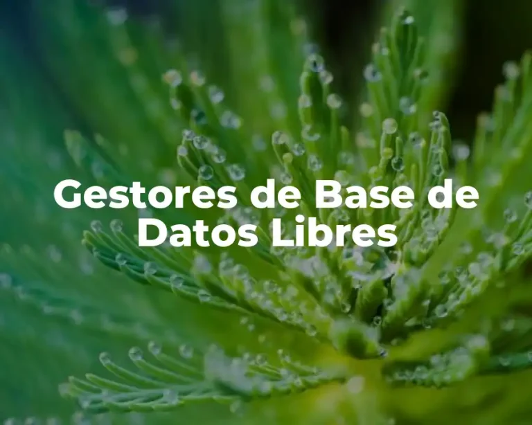 Gestores de Base de Datos Libres